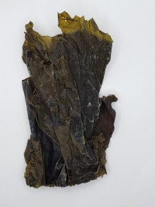 Sugar Kelp (Saccharina Latissima)